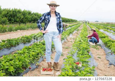 Woman posing on field with gathered strawberry 127087226