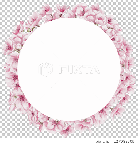 Round wreath with sakura flowers, Cherry blossom. Spring vestival. Pattern with flowers. Pink petals and buds. Watercolor illustration isolated from background. Hand drawing.  127088309