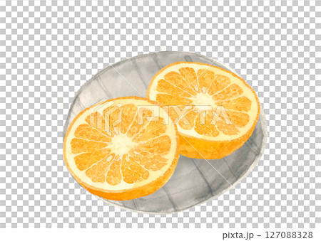 水彩で描いた皿に盛っ半分にカットした甘夏のイラスト素材【手描き】白バック 切り抜き用 コピースペース 水彩で描いた皿に盛っ半分にカットした甘夏のイラスト素材【手描き】白バック 切り抜き用 コピースペース 127088328