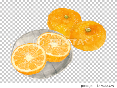 水彩畫的甜橙，一半放在盤子裡[手繪]白色背景可供裁剪可用複製空間 127088329