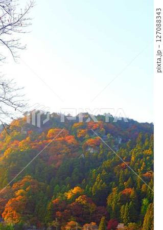 立石寺 山寺 紅葉 黄葉 立石寺 山寺 紅葉 黄葉 127088343