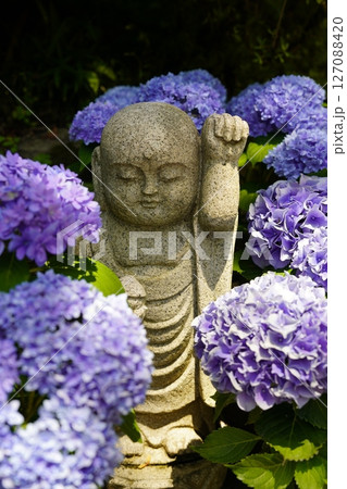 花のある風景 127088420