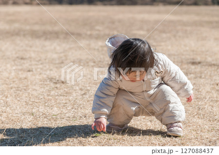【相模原市立麻溝公園の芝生広場で遊ぶ1歳児 しゃがむ】 【相模原市立麻溝公園の芝生広場で遊ぶ1歳児 しゃがむ】 127088437