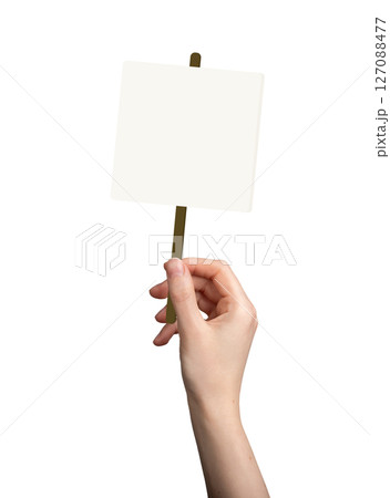 Hand holding a blank protest sign on a wooden stick. Female activist demonstrating with an empty Hand holding a blank protest sign on a wooden stick. Female activist demonstrating with an empty 127088477