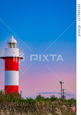 北海道　はまなすの丘公園の秋 127089188