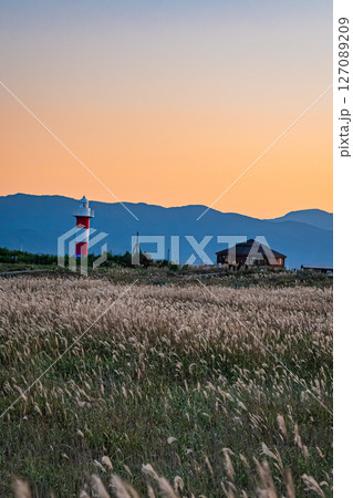 北海道　石狩　はまなすの丘公園の風景 127089209