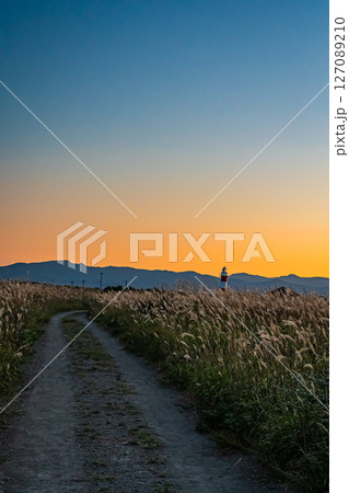 北海道 石狩 はまなすの丘公園の風景 北海道 石狩 はまなすの丘公園の風景 127089210