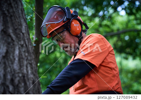 林業　伐採　仕事　シニア　チェンソー 127089432