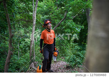 林業　伐採　仕事　シニア　チェンソー 127089460