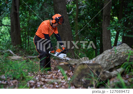 林業　伐採　仕事　シニア　チェンソー 127089472