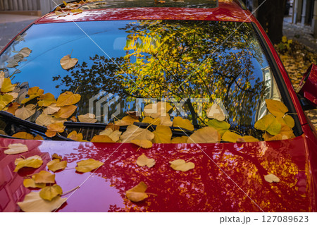 Autumn leaves on red car windshield in city. Yellow autumn leaves scattered across red car windshield reflecting trees, sky. Concept of seasonal contrast, urban autumn, bright reflective moment Autumn leaves on red car windshield in city. Yellow autumn leaves scattered across red car windshield reflecting trees, sky. Concept of seasonal contrast, urban autumn, bright reflective moment 127089623