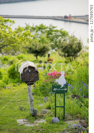 北海道 浦河 ルピナスの丘 北海道 浦河 ルピナスの丘 127089765