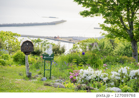 北海道　浦河　ルピナスの丘 127089768