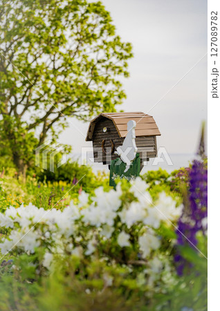 北海道 浦河 ルピナスの丘 北海道 浦河 ルピナスの丘 127089782