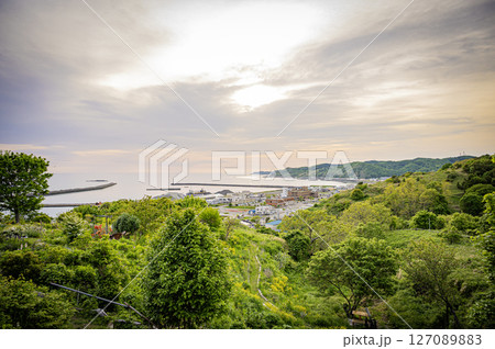 北海道 浦河町 ルピナスの丘 北海道 浦河町 ルピナスの丘 127089883