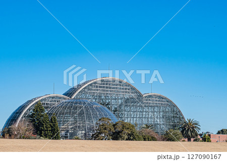 東京 熱帯植物園の風景 東京 熱帯植物園の風景 127090167