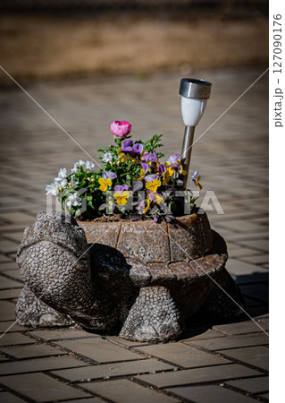 東京 熱帯植物園の風景 東京 熱帯植物園の風景 127090176