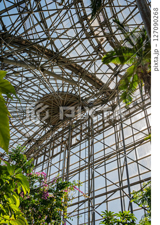 東京　熱帯植物園の風景 127090268
