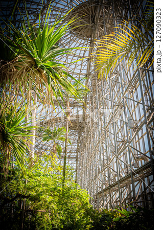 東京 夢の島熱帯植物館の風景 東京 夢の島熱帯植物館の風景 127090323