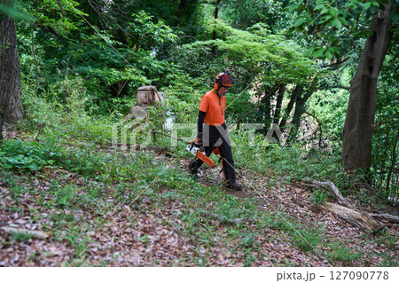 林業　伐採　仕事　シニア　チェンソー 127090778