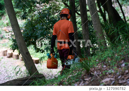 林業　伐採　仕事　シニア　チェンソー 127090782