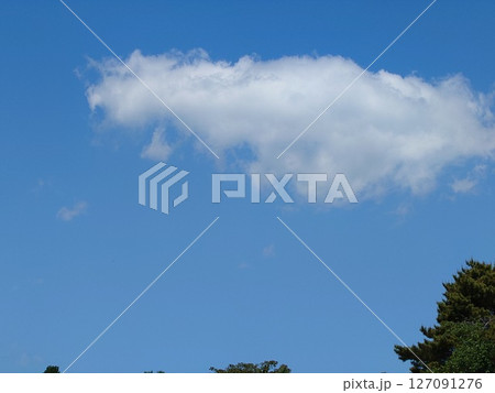 大きい雲が1つある青空 127091276