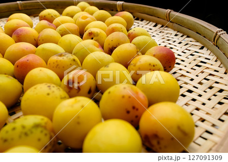 竹のざるに並んだ粒の大きい完熟した梅の果実_6 127091309