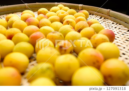 竹のざるに並んだ粒の大きい完熟した梅の果実_1 127091318