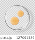 Glass Petri dish with shampoo drops isolated realistic vector illustration 127091329