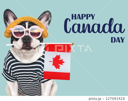 Happy Canada Day. Cute puppy and Canadian Flag. Happy Canada Day. Cute puppy and Canadian Flag. 127091428