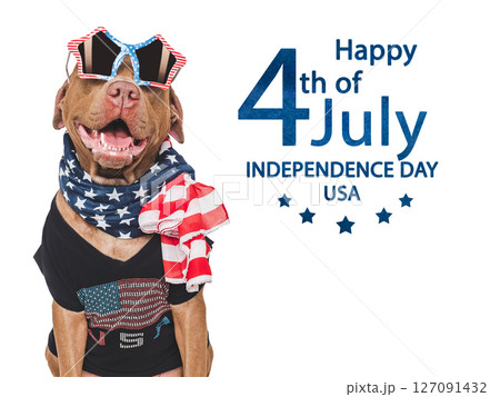 Happy Independence Day. American Flag and cute dog Happy Independence Day. American Flag and cute dog 127091432