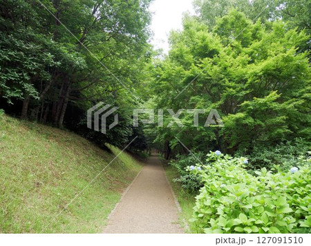 飯高山公園 (熊本県合志市) 飯高山公園 (熊本県合志市) 127091510