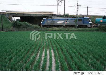 田園を走る東北本線下り貨物列車 田園を走る東北本線下り貨物列車 127091616