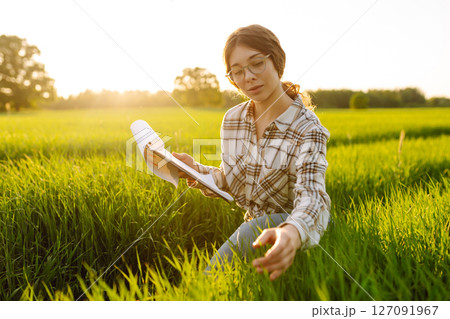 Young female farmer is studying with tablet young wheat in the field. Concept for farm development. 127091967