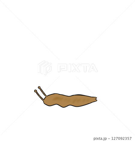 シンプル　ナメクジ　動物 127092357