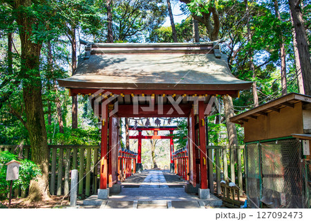 東京都杉並区　大宮八幡宮　赤門（北神門）　源頼義により建設 127092473