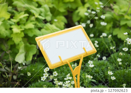 Yellow plant name plate in nursery around different varietal flowers. Close up. Space for text. 127092623