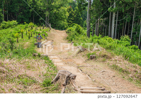 賤ヶ岳ハイキングコース　滋賀県長浜市 127092647