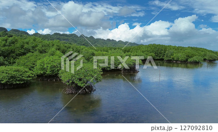 Mangrove sea landscape in tropical coastal region 127092810