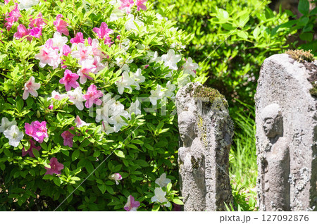 石仏とツツジ 徳運寺 石仏とツツジ 徳運寺 127092876