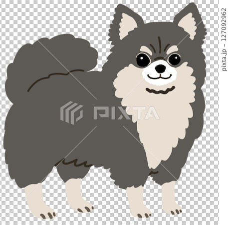 長毛吉娃娃的插圖 127092962