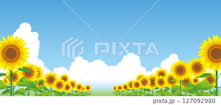 夏空にヒマワリと入道雲03 127092980