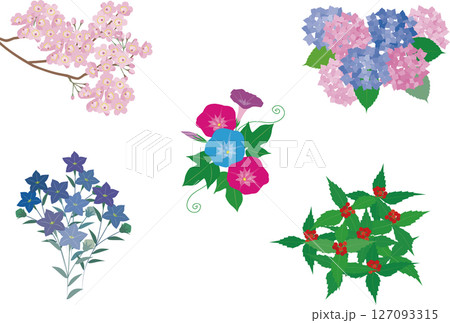 日本の春夏秋冬、季節を表す花のイラスト 日本の春夏秋冬、季節を表す花のイラスト 127093315