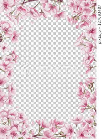 Cherry blossom frame. Sakura blossom. Small pink flowers. Petals and branches. Spring festival. Watercolor illustration without background. Hand drawing. High quality illustration 127093487