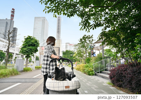 愛犬とお散歩＆ショッピングをする女性　（さいたま新都心・埼玉県）チワワ 127093507