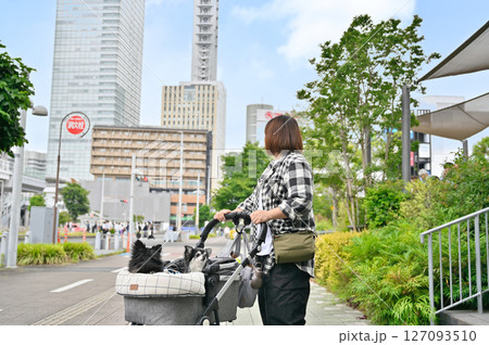 愛犬とお散歩＆ショッピングをする女性　（さいたま新都心・埼玉県）チワワ 127093510