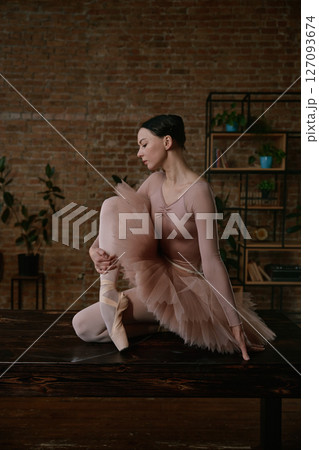 An exquisite and graceful ballet dancer is posing elegantly in a contemporary artistic setting An exquisite and graceful ballet dancer is posing elegantly in a contemporary artistic setting 127093674