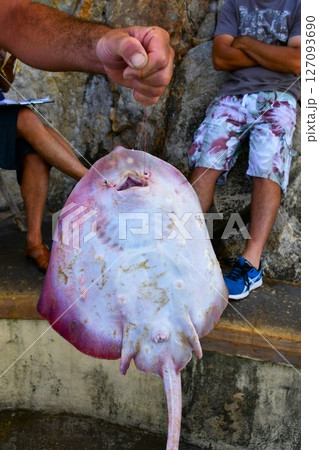 マルタ共和国、マルタ島、グロット、青の洞門、遊覧船乗り場、釣り上げたエイ 127093690