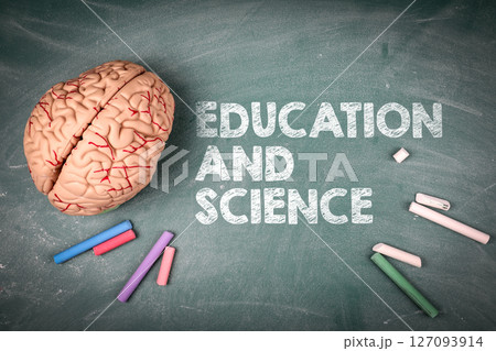 Education and Science Concept. Brain Model and Chalk 127093914