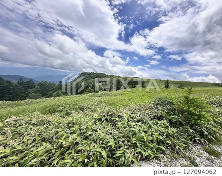 広大な草原と初夏の空広がる美ヶ原高原 127094062